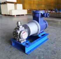 齒輪泵 齒輪油泵，圓弧齒輪泵 發(fā)貨通知